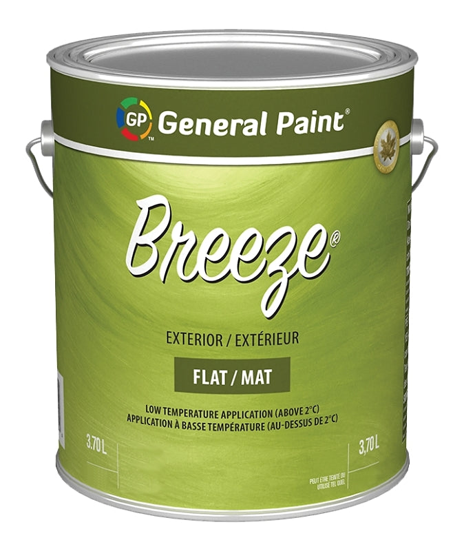 General Paint and Chemical COLORmaxx GE0070054-16 Breeze Paint, Flat, Clear