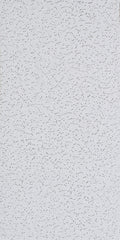 220 FIFTH AVE FC TILE CEIL 2X4