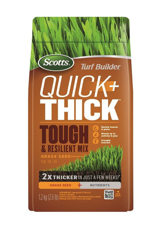 12506-1 SEED GRASS TGH & RSLNT