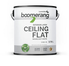 5180 - 10 CEILING PNT WHT3.78L