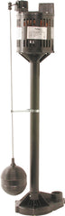 FPPSS3000-09 1/3HP PUMP