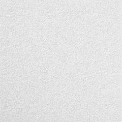 R86785 PNL CEIL 12CT 2X2FTX3/4
