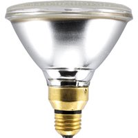 13804 65W Spot Light PAR38