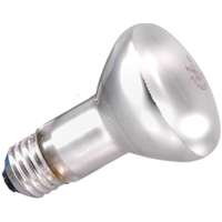 15670 45W R20 REFLECTOR FLOOD