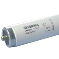 F96T8 FLOURESCENT BULB