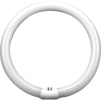 Sylvania Circline CW 12IN 32W