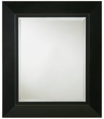 202461 23.5INX27.5IN MIRROR -