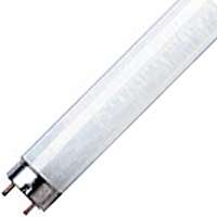 F18T8/CW/24 FLUO BULB