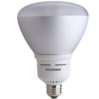 29706 23W CFL BR40 FLOOD