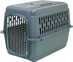21182 PET PORTER INTERMEDIATE