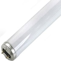 12PK 4FT Flurescent F32WT8