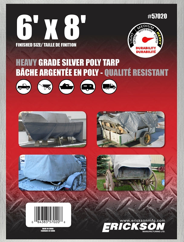 57020 6' X 8' SILVER 14 X 14 T