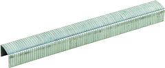 STCR50191/4-6M STAPLES 1/4"