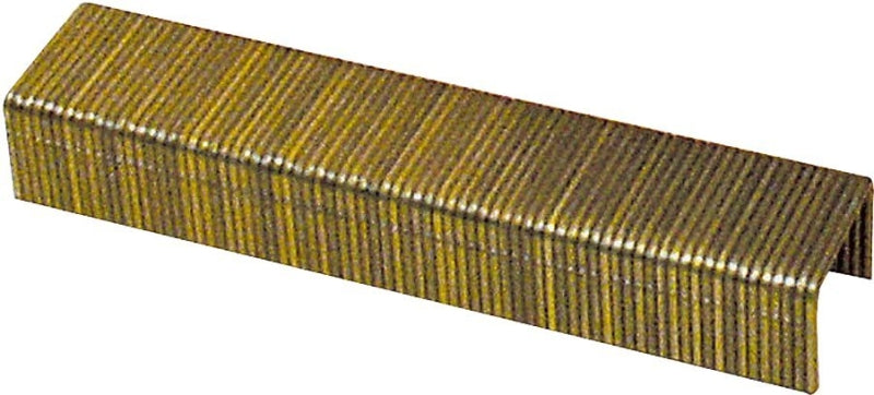 16S2-25SG10M STAPLE 1" 16GA