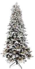 33976 LIGHT FIR L-CONE WHT 7.5