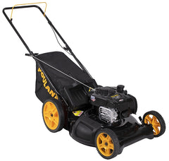 PM21N625RH MOWER LWN 3IN1 21IN