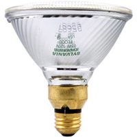 14517 75W PAR38 Flood Light