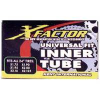 Bicycle Tube 20IN