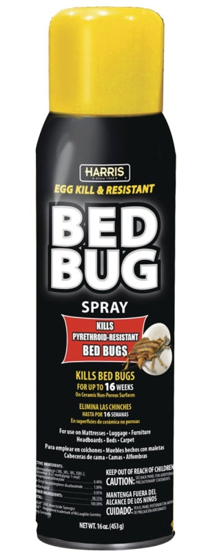 BLKBB-16A AEROSOL BEDBUG 16OZ