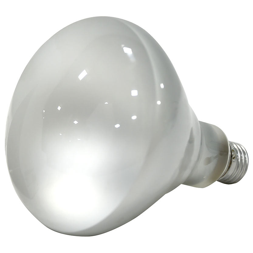 10079 50W BR40 HALOGEN FLOOD