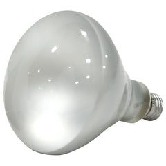 10079 50W BR40 HALOGEN FLOOD