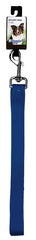 2957202 LEAD NYLON BLUE 1X72IN