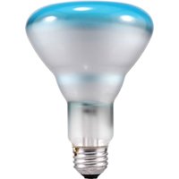 15156 SPOT-GRO BULB 65W BR30