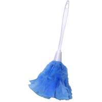 FEATHER DUSTER