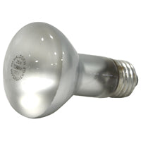 10077 35W R20 HALOGEN FLOOD