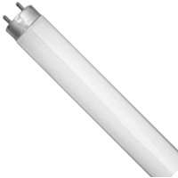 F25T8 25W 36" Fluorscent Bulb