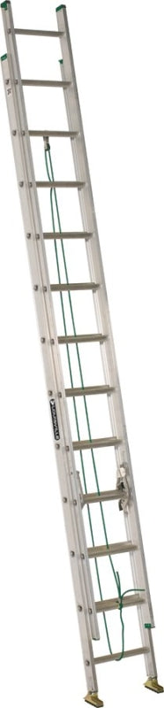 AE4224PG LADDER AL TYPE2 24FT