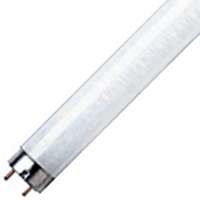 FLUORESCENT LAMP F20T12CW