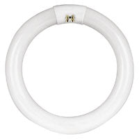12IN GE Circline Daylight 32W