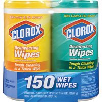 DISINFECTING WIPES TWIN PACK