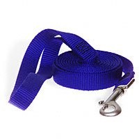 6'X1" NYLON SINGLE BLUE LEASH