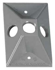 813-1 COVER RECEPTCL WP 3HOLE