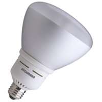 28997 19W CFL BR40 DIM FLOOD