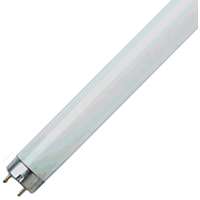 F32T8 FLUORESCENT LAMP