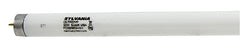 22359 BULB LT 32WT8 48IN 5000K