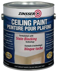 254065 CEILING PAINT