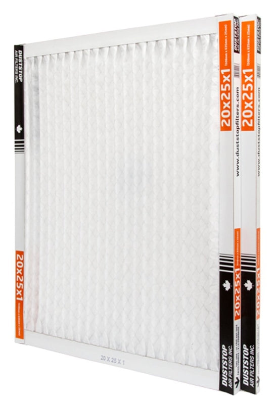 DP-2025PR2 20X25X1 FILTER AIR
