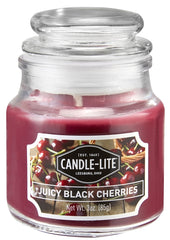 4449565/4345565 3OZ JAR BLK CH