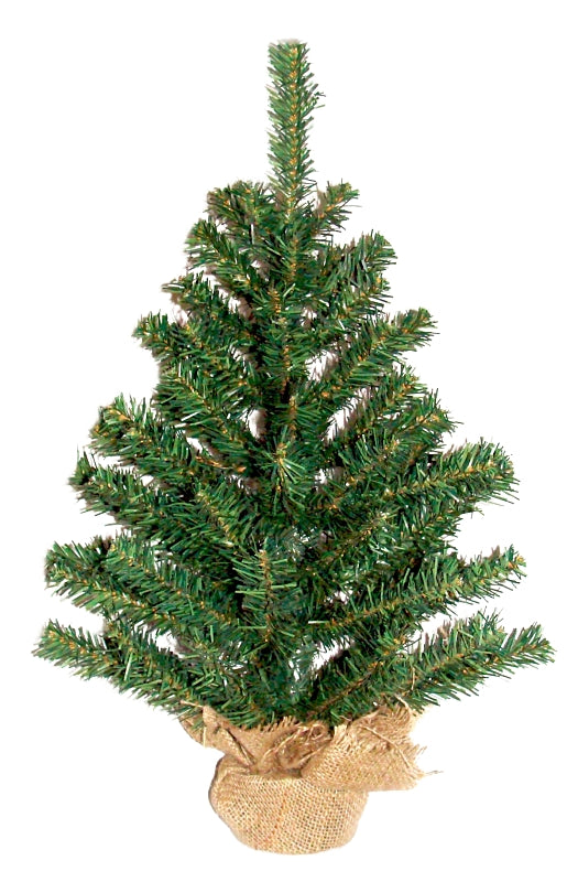 HOLIDAY TREE 18 INCH B&B