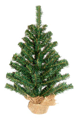 HOLIDAY TREE 18 INCH B&B