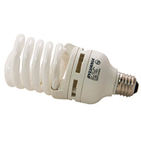 29786 40W CFL SOFT WHITE BX