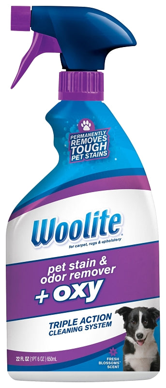 Bissell Woolite 0890 Pet Stain and Odor Remover, Liquid, Characteristic, 22 oz, 1/PK