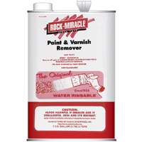 RM Paint Remover QT