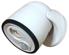 33001-108 FLOODLIGHT LED WHITE