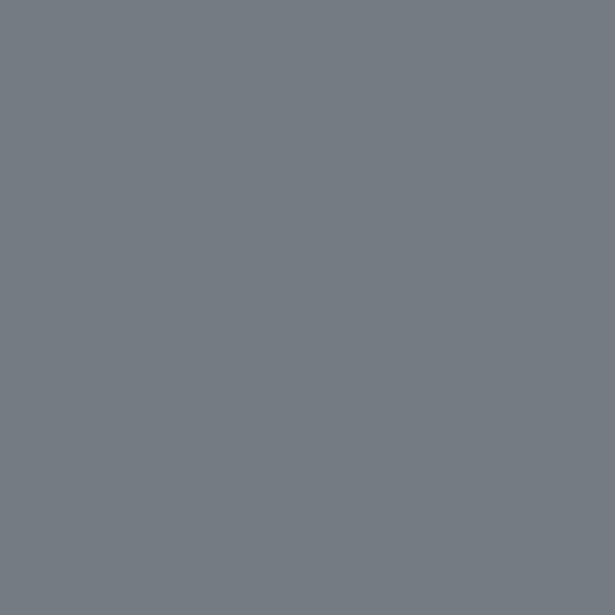 Color Pure Silver 2119-40 Silver Streak - Paint Color – Jamaica Hardware & Paints