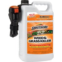 SPRAY GRASS/WEED KILLER